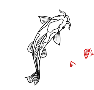 Black Fish